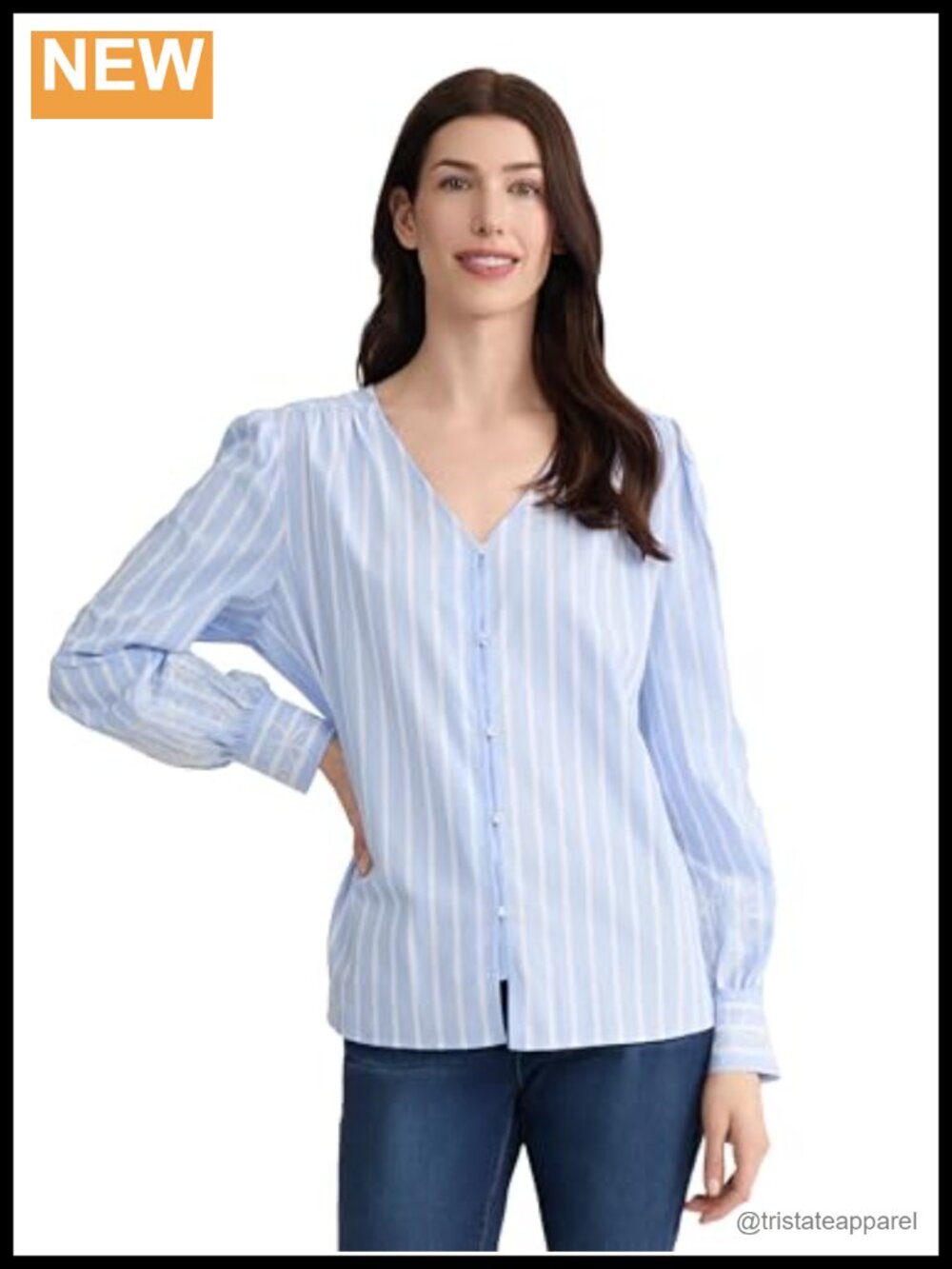 Long Sleeve V-Neck Embroidered Button Front Cotton Poplin Blouse